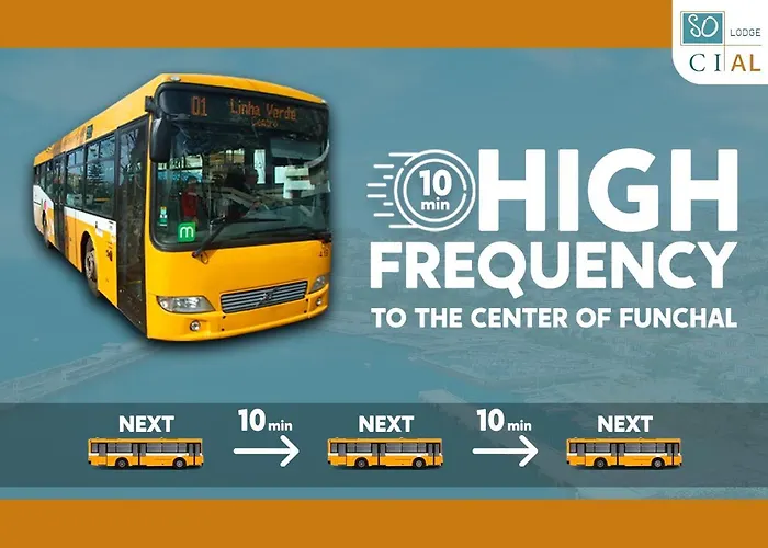 Social Hollywood * 丰沙尔