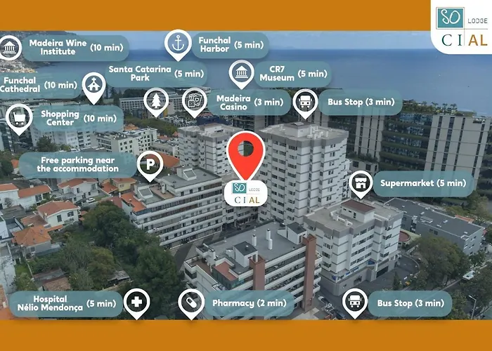 招待所 Social Hollywood